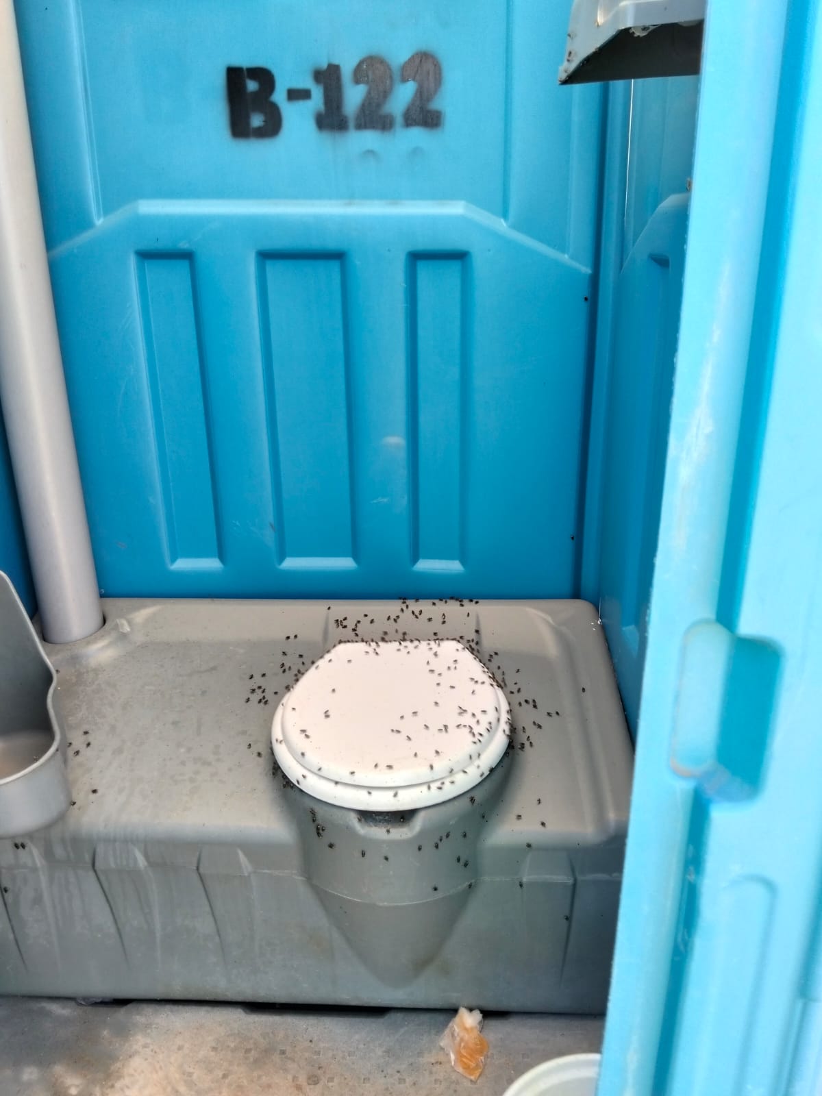 bano con mosquitos.jpg